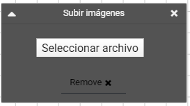 Subir imagen